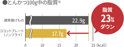 とんかつ100g中の脂質※脂質23%ダウン